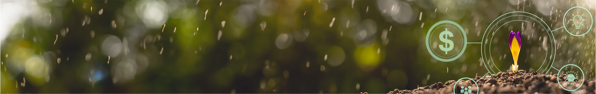 innerpage Project Funding