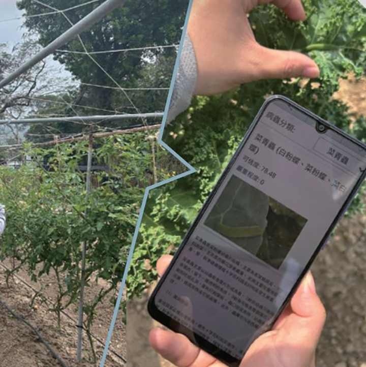 AI in Assisting Crop Pest and Disease Control-home-thumb