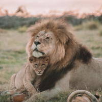 Self Photos / Files - content-51299-image