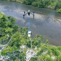 Self Photos / Files - content-51331-image